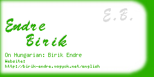 endre birik business card